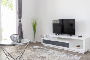 Wohnzimmer TV Gästewohnung Marthastraße 7